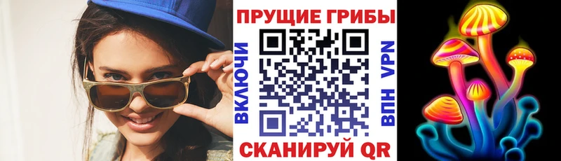 Псилоцибиновые грибы мицелий закладка Кировград